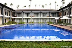 هانی لیو النیدو